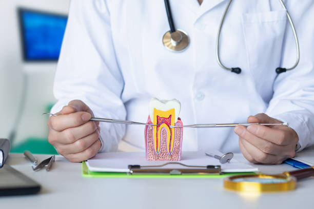 Best Emergency Tooth Extraction in Clinton, MO